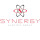 Synergy Electric Group LLC