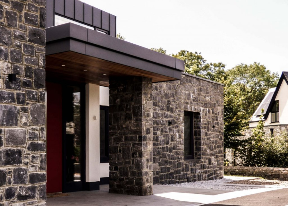 Inspiration for a large modern front door in Dublin with white walls, a single front door, a red front door and a timber clad ceiling.