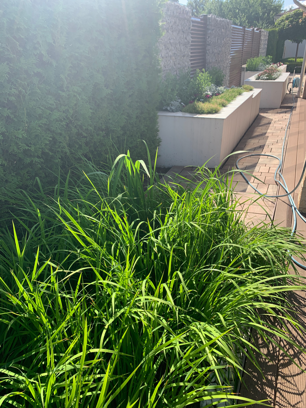 Современный сад для семьи