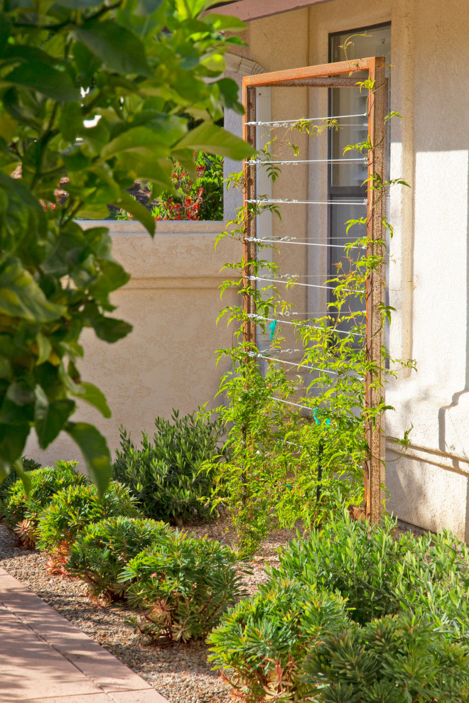 Inspiration for a large mediterranean side yard patio in San Luis Obispo with a vertical garden and concrete slab.