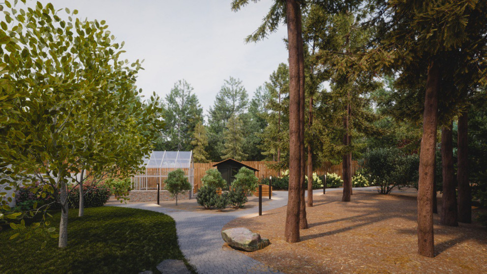 Завораживающий лес