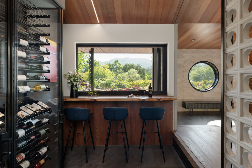 Mid Century Zen-Glen Ellen, CA - Midcentury - Wine Cellar - San ...