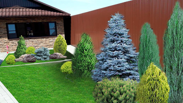 Проект « Сад для семьи»