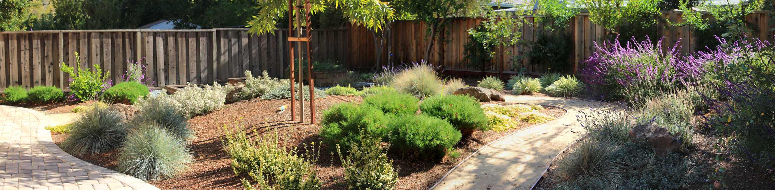 Vivide colors garden