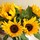 theresa_kendall53