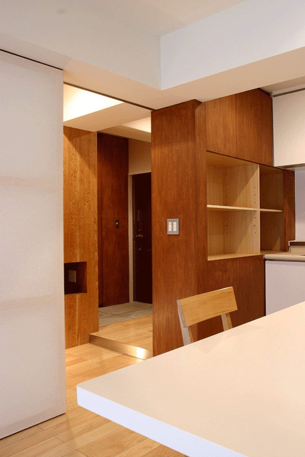 This is an example of a small modern entry hall in Tokyo with brown walls, plywood floors, a single front door, a dark wood front door and brown floor.