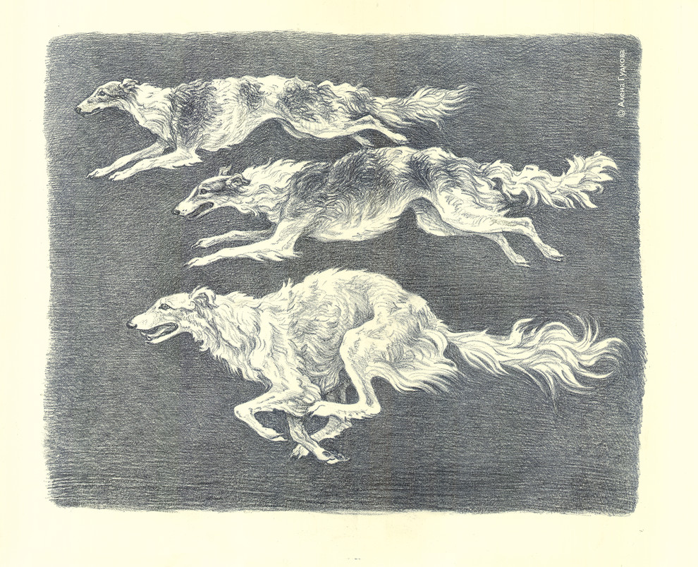 Литографии Алёны Гудковой