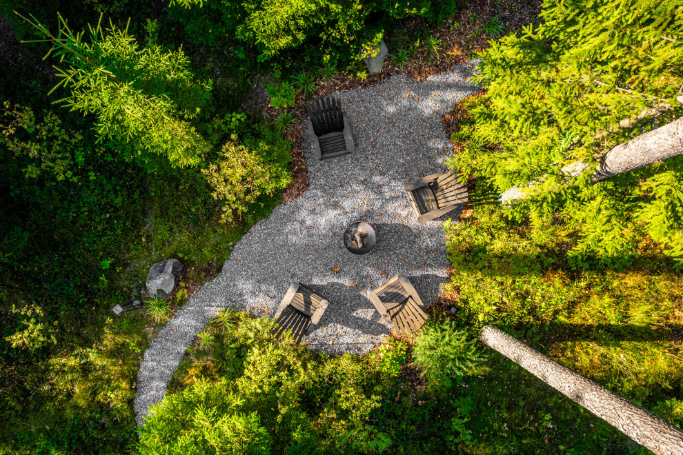 Репино парк