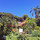Ruby Begonia Gardens