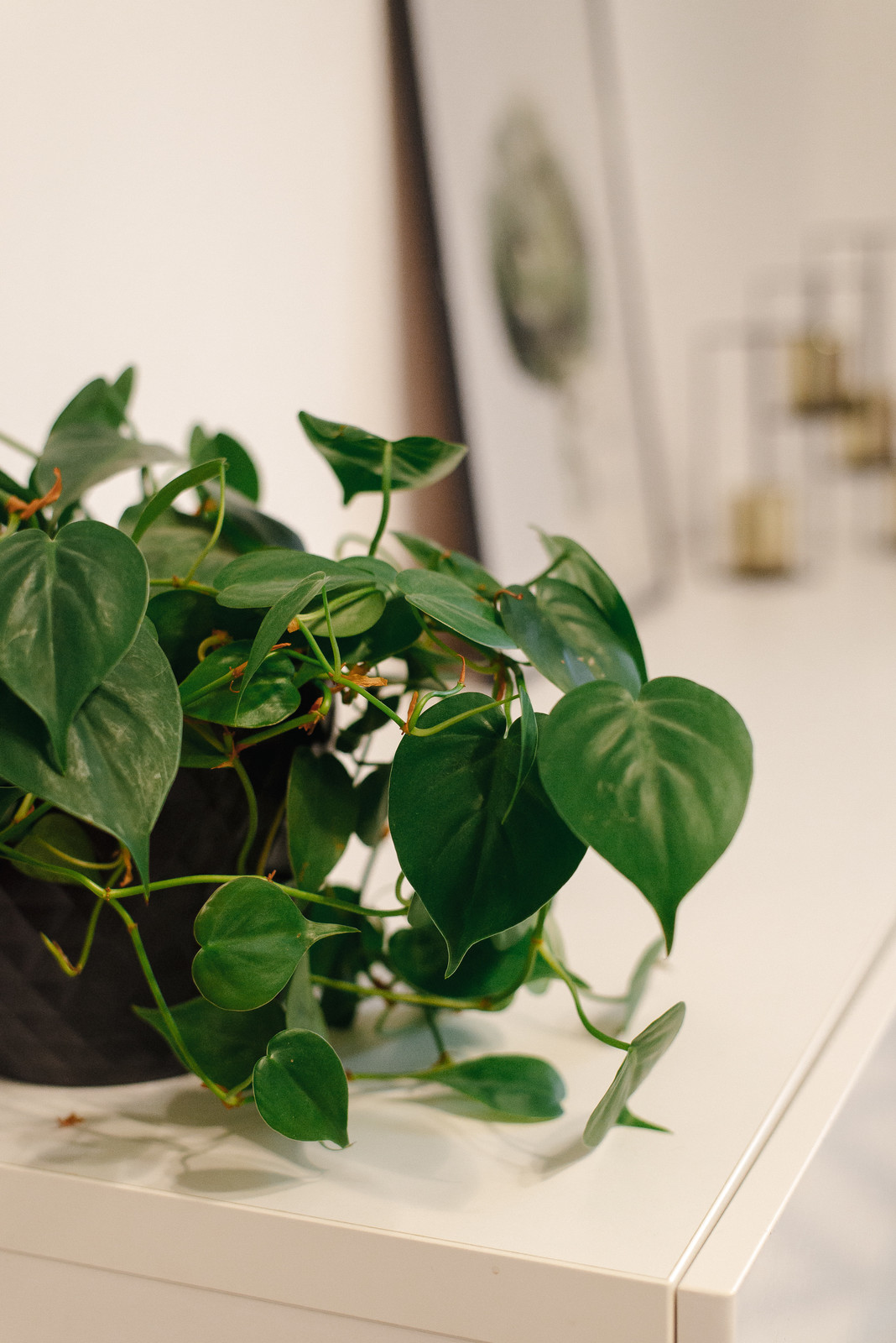 Гостиная в скандинавском стиле, дизайн интерьера в Воронеже