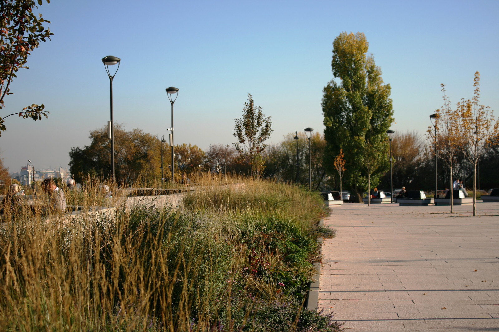 Цветники Советской площади