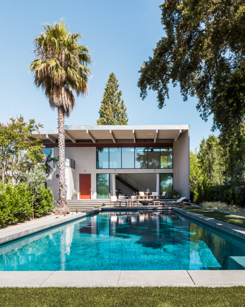 Immagine di una piscina naturale design di medie dimensioni e dietro casa