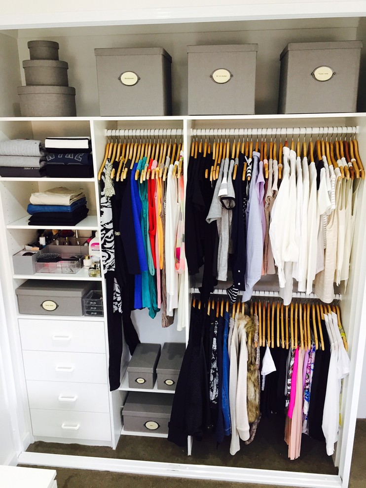 This is an example of a mid-sized modern storage and wardrobe in Sydney.