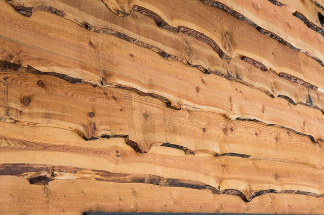 Rustic Cabin rustico-facciata