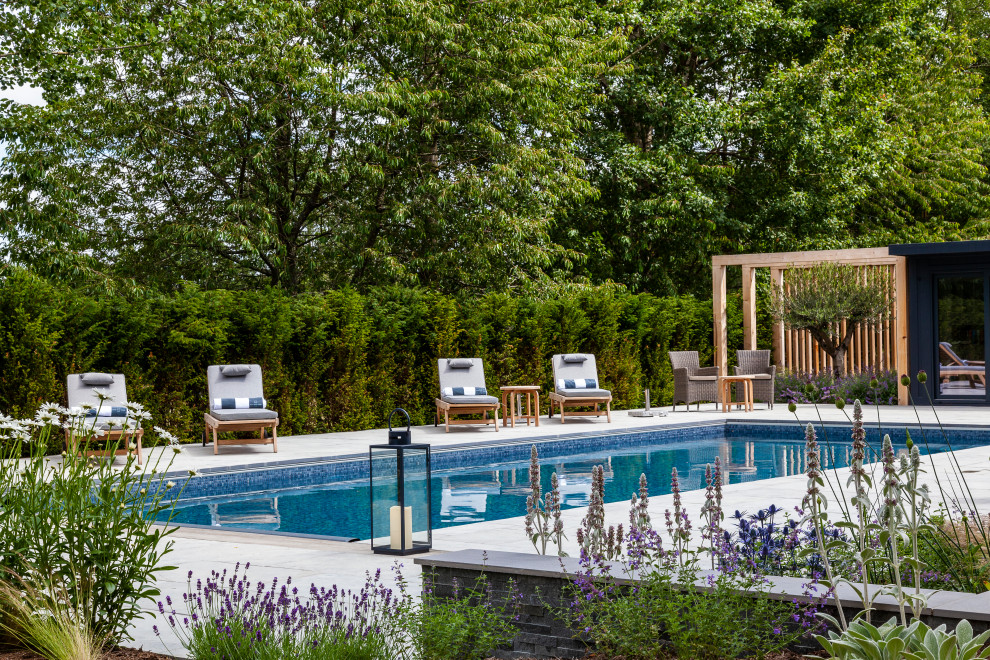 Design ideas for a contemporary pool in Surrey.