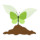 Last commented by plant