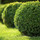 Great Lawn Services Inc