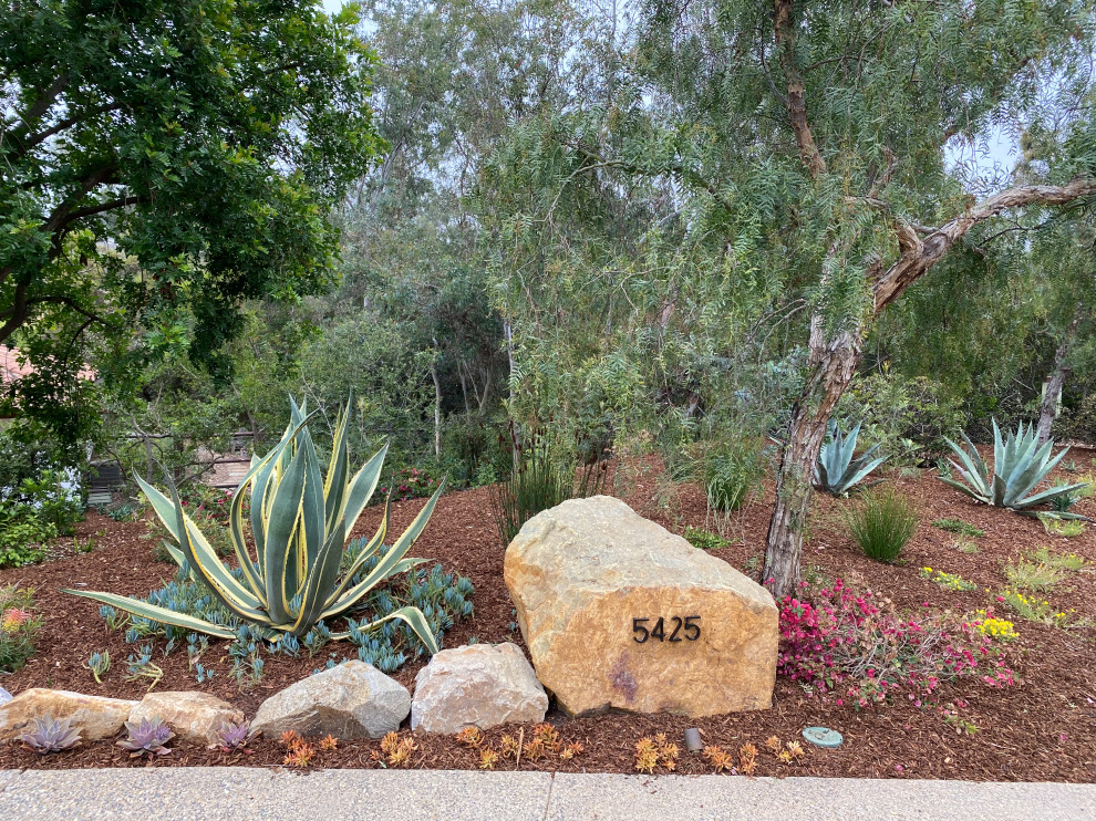 Geräumiger Mediterraner Garten im Sommer mit Auffahrt, direkter Sonneneinstrahlung und Natursteinplatten in San Diego