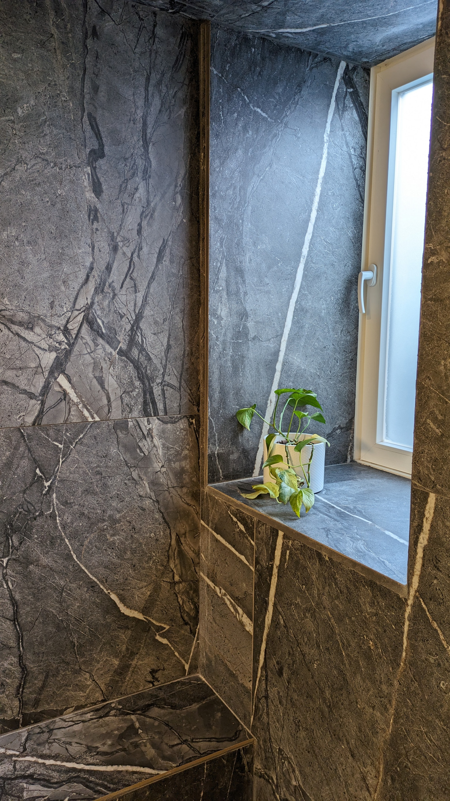 Unfinished Basement to Serene Steam Sanctuary