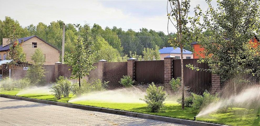 Вавиловец 1