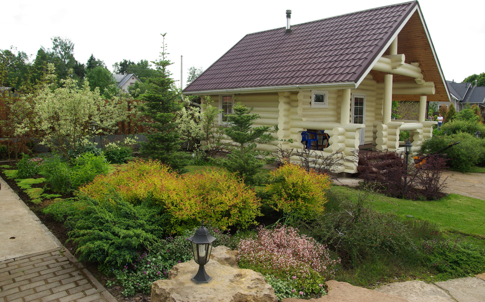 на бывшем болоте