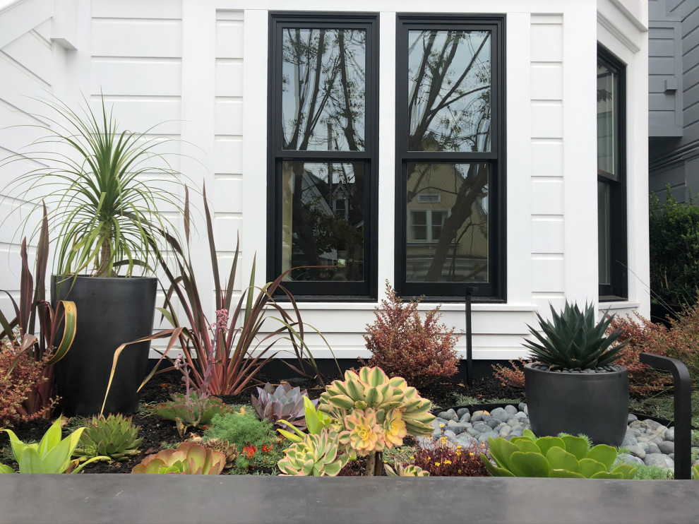 Photo of a small transitional front yard partial sun xeriscape in San Francisco with river rock.