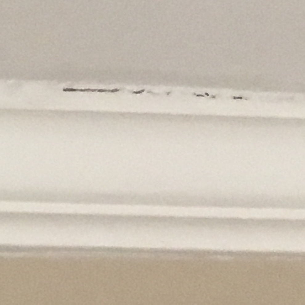 Caulking around ceiling molding is separating in less than an year