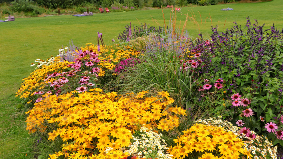 Favorite Plants