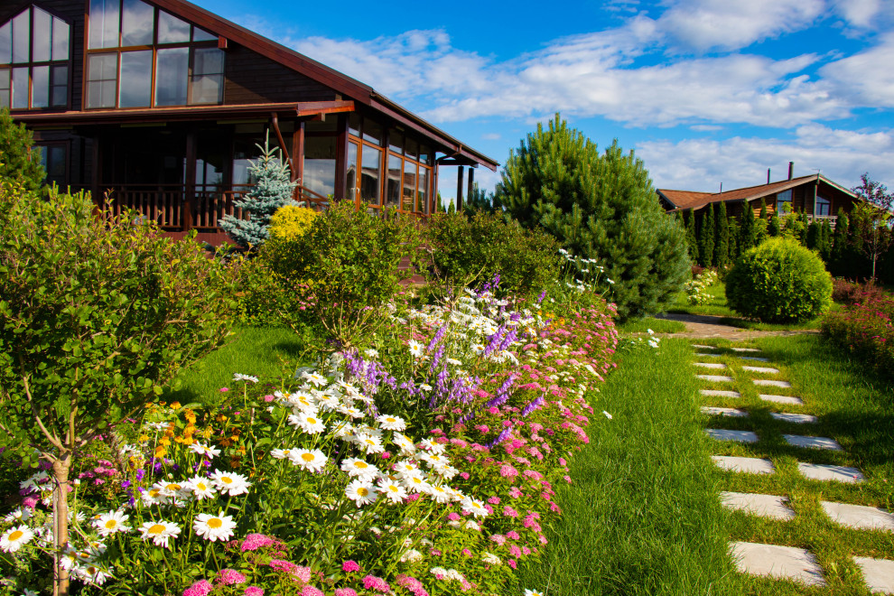 Сосновые берега