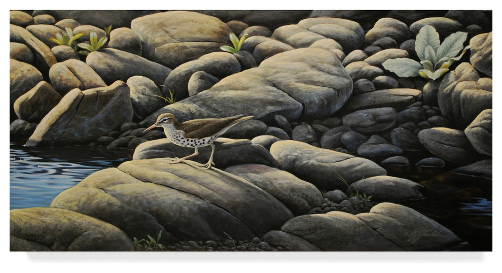 Wilhelm Goebel 'Along The Creek' Canvas Art, 32"x16"