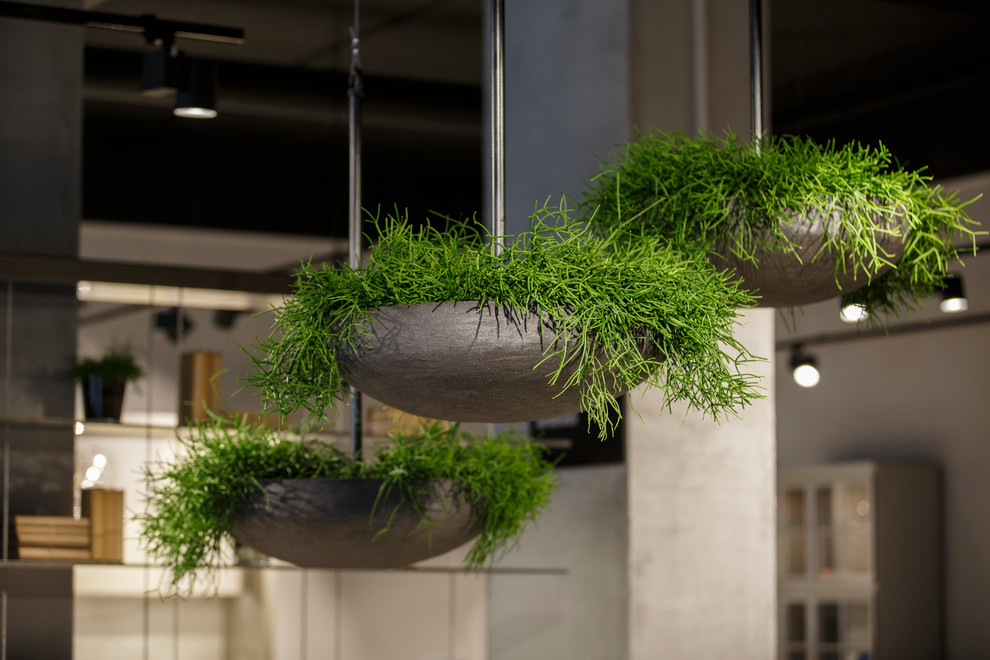 Вазоны и кашпо