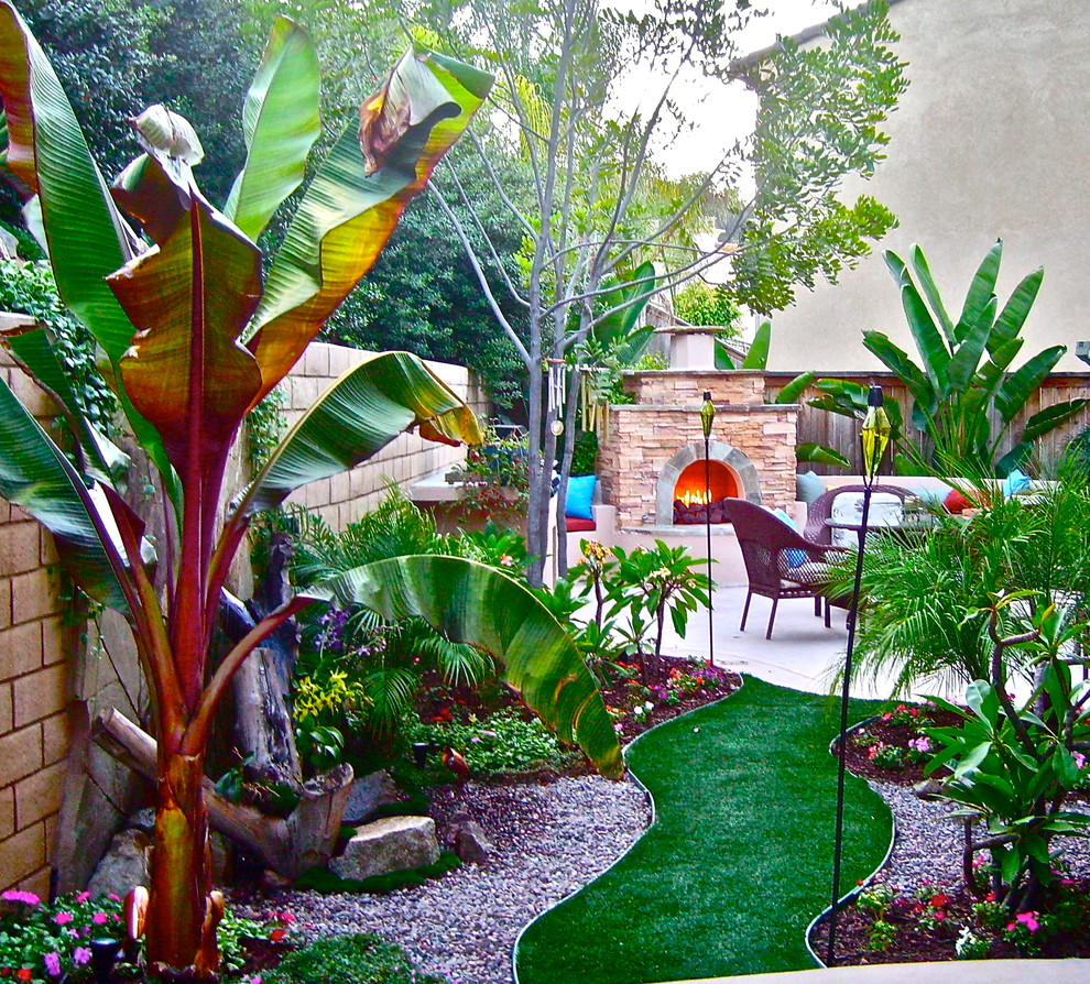 Photo of a tropical landscaping in San Diego.