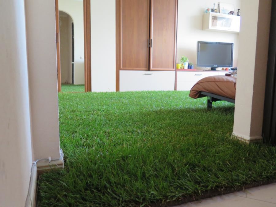 Зелёный ковёр готов