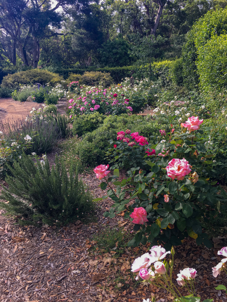 Photo of an expansive country xeriscape garden in Santa Barbara with a flowerbed and gravel.