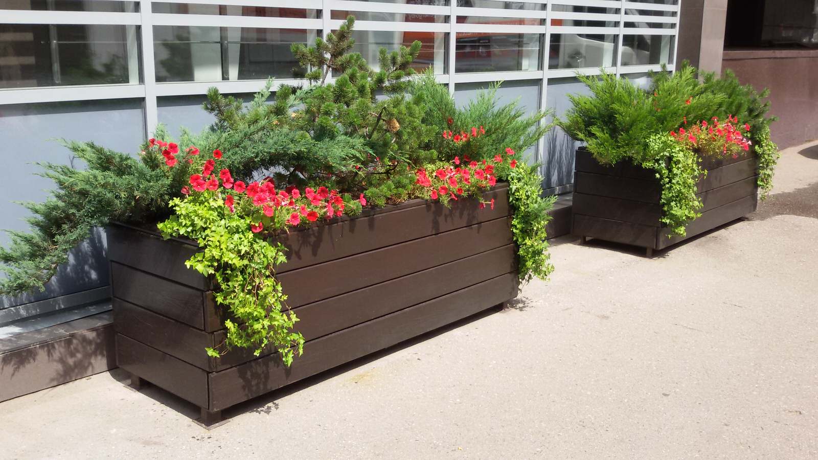 Контейнерное уличное озеленение