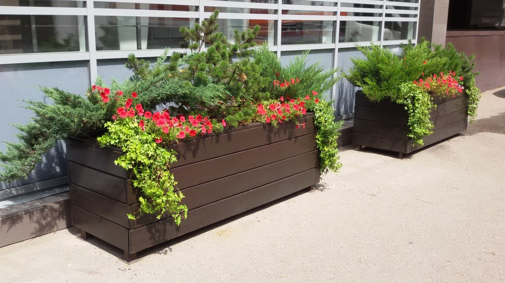 Контейнерное уличное озеленение