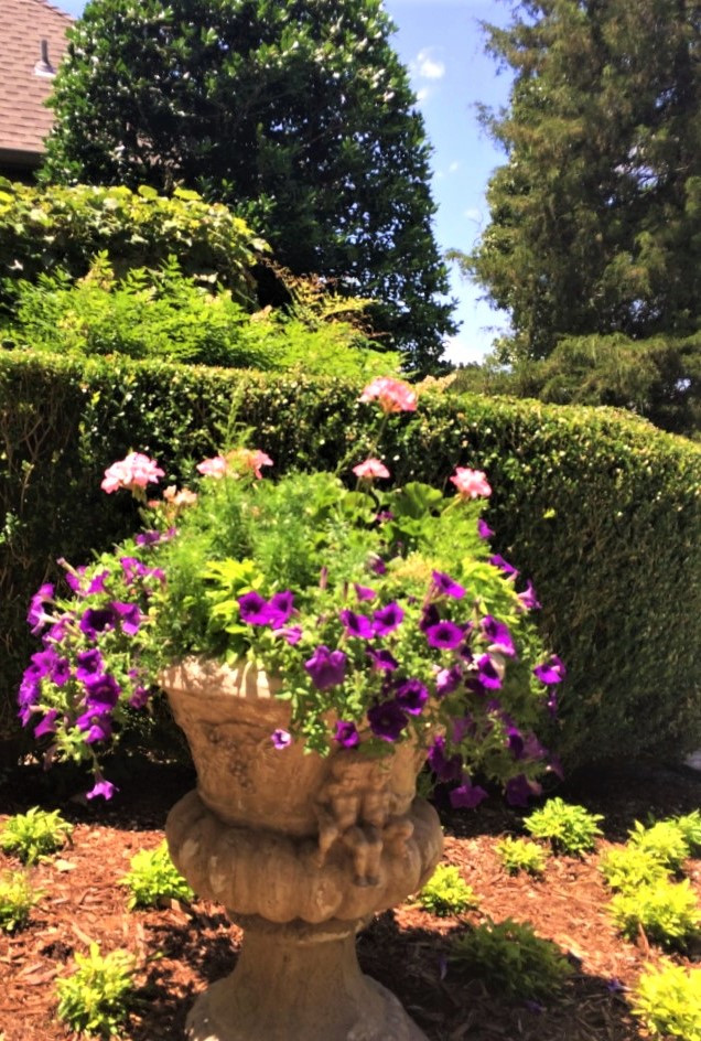 Container Plantings: Spring and Summer