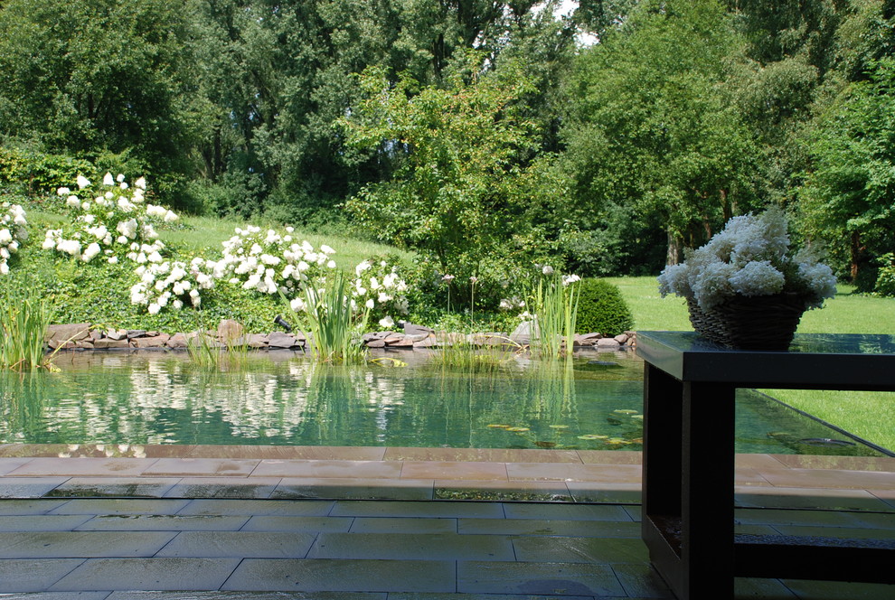 Moderner Pool in Köln