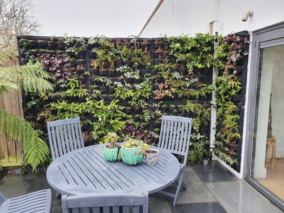 Medium sized contemporary back partial sun garden in London with a living wall and decking.