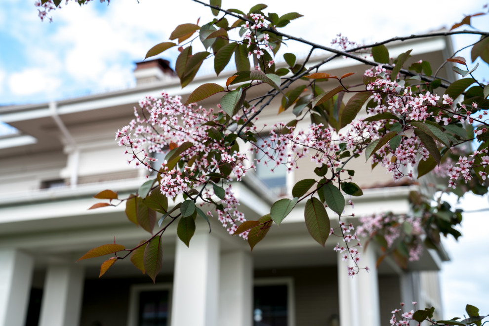 Игра контрастов. Миллениум Парк 2018 г.