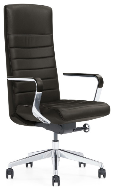 Modern Dark Grey Hughes Leather Executive Chair - Contemporary - Office  Chairs - by Zuri Furniture | Houzz