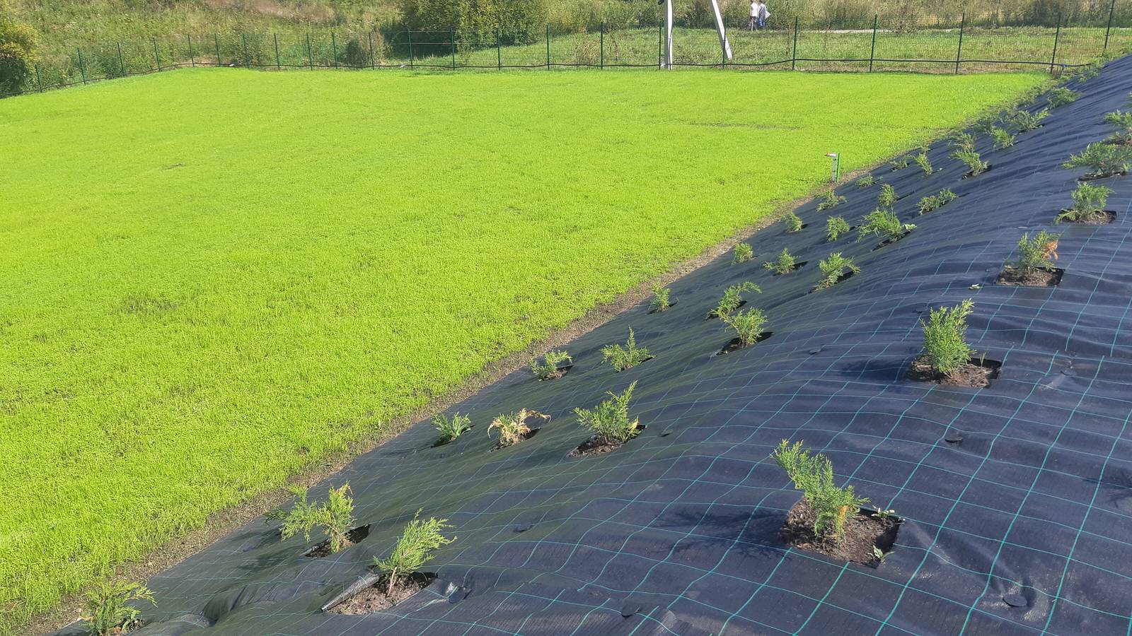 Парк Здоровье