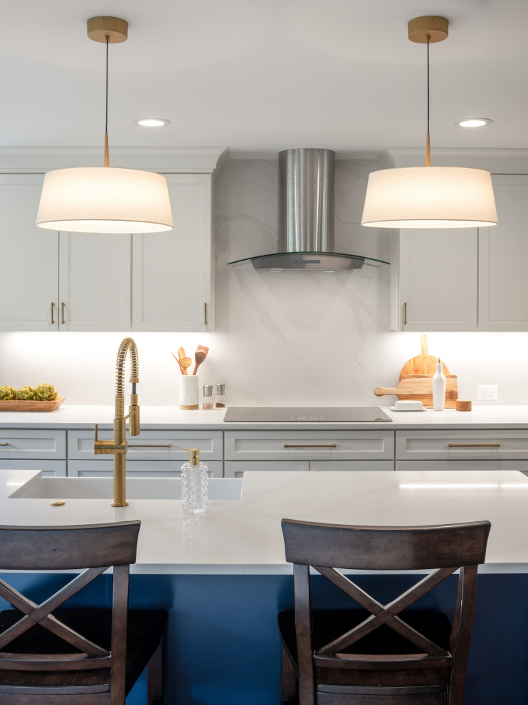 Kitchen - transitional kitchen idea in DC Metro