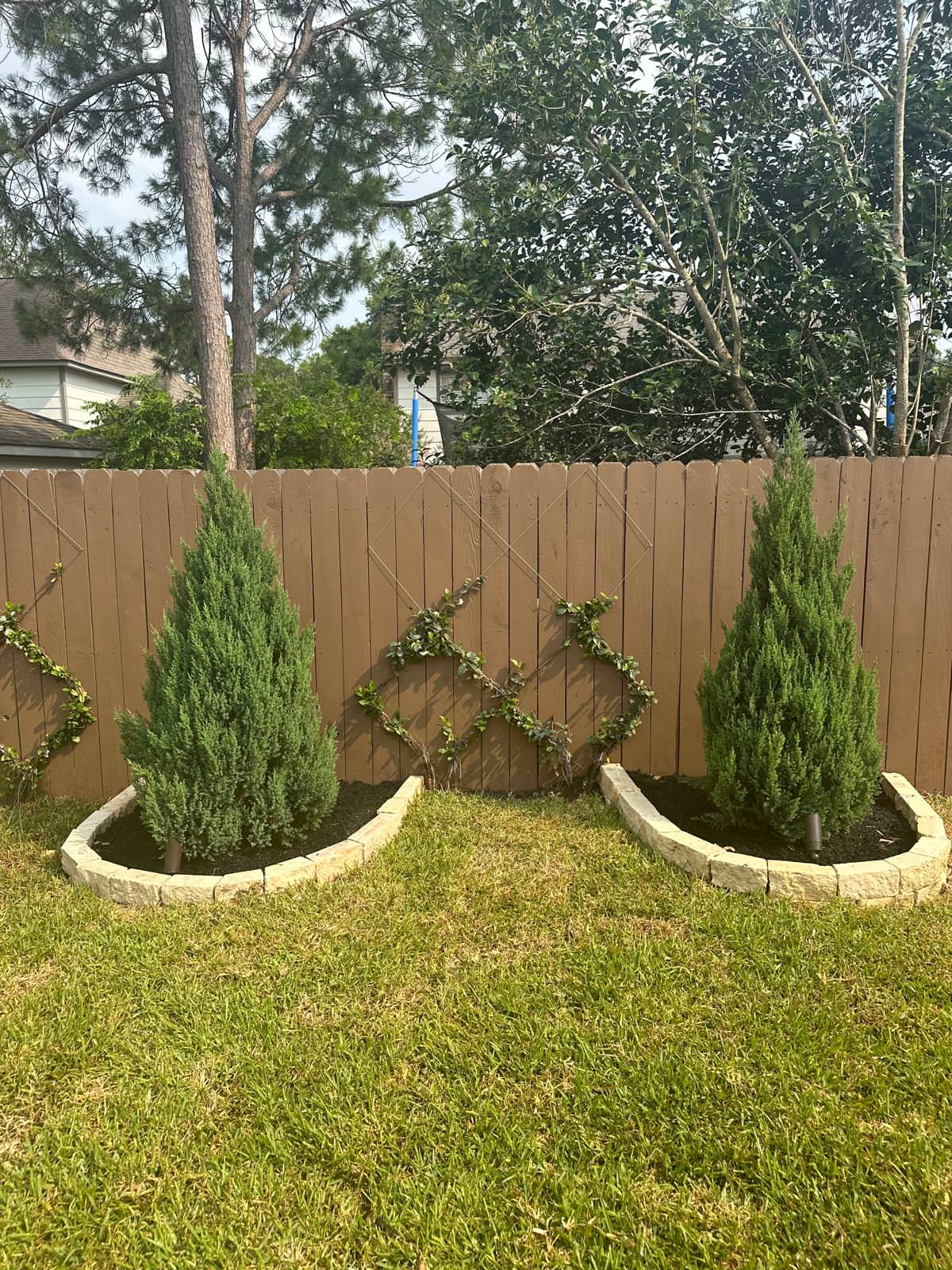 Front and Back yard makeover in Del Monte HTX