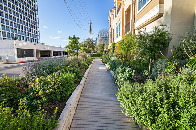 River Oaks Residence Garden Houston By Edible Earth Resources