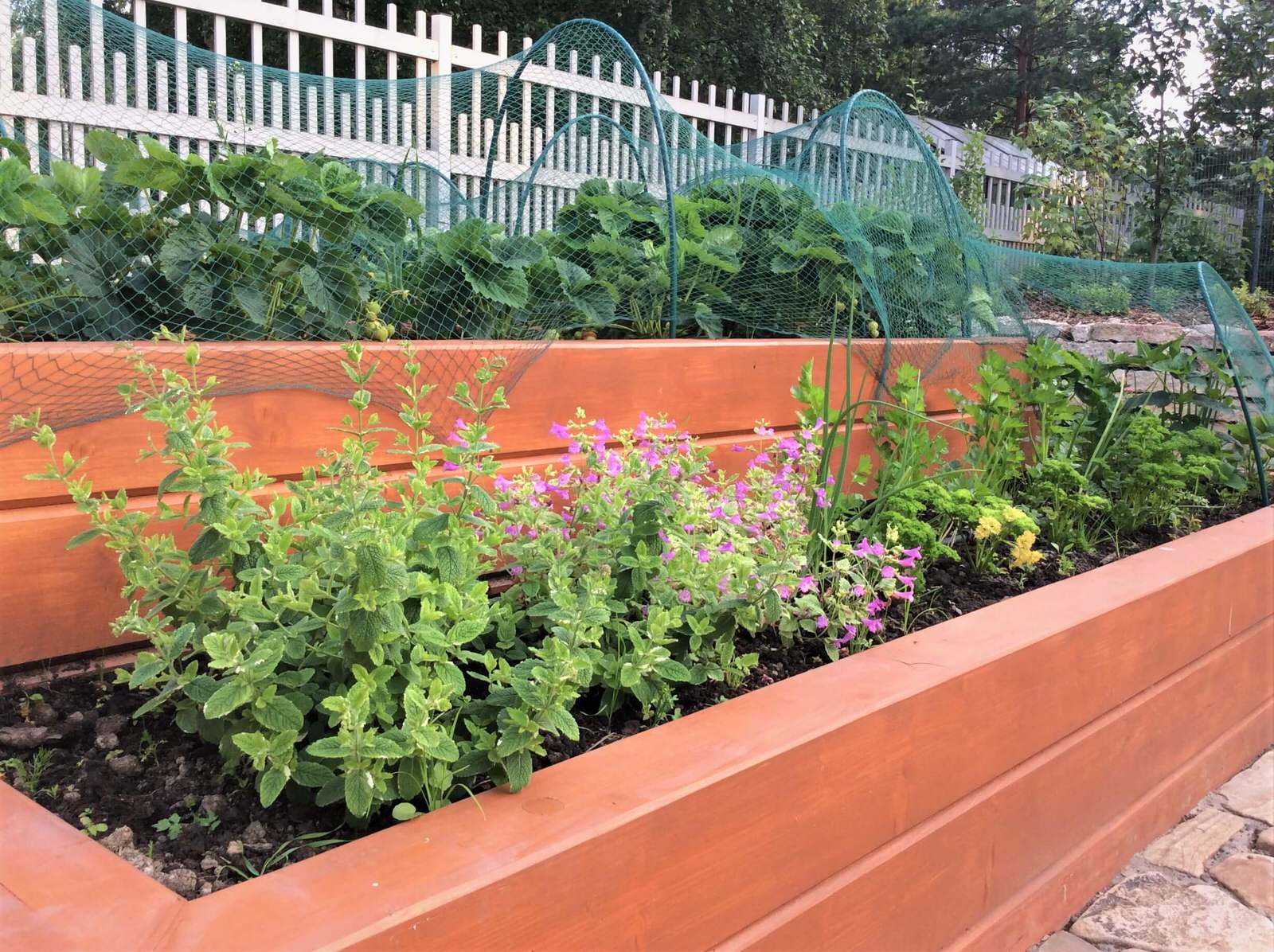 ПОЛЕТ ШМЕЛЯ