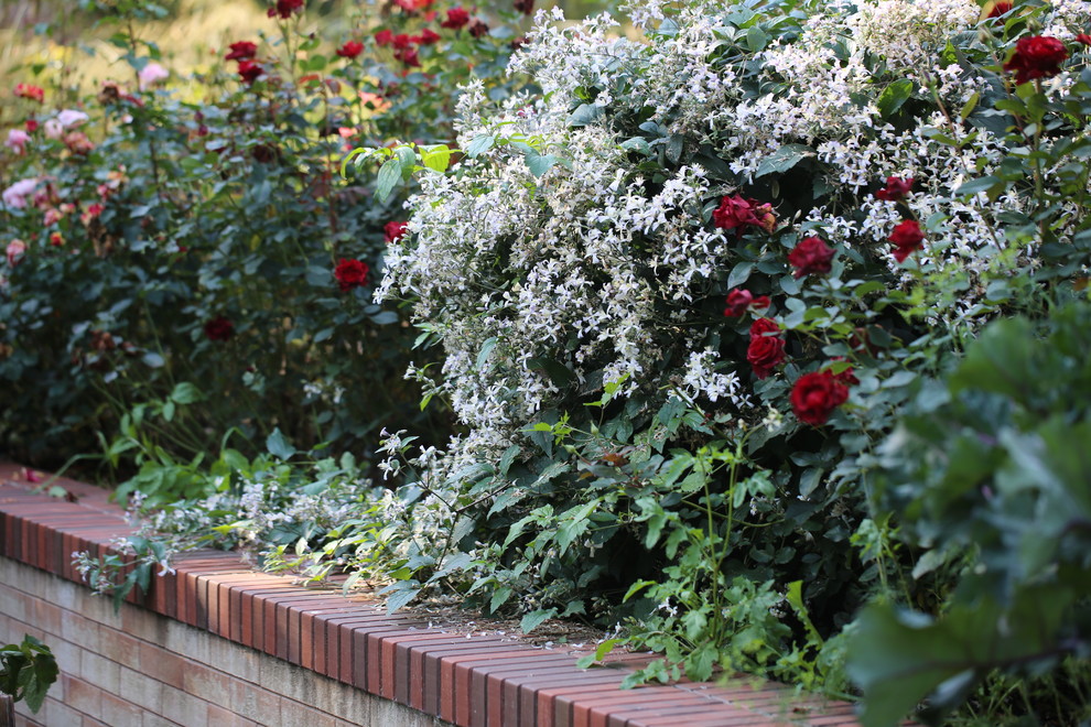 Розарии в садах NB-GARDEN