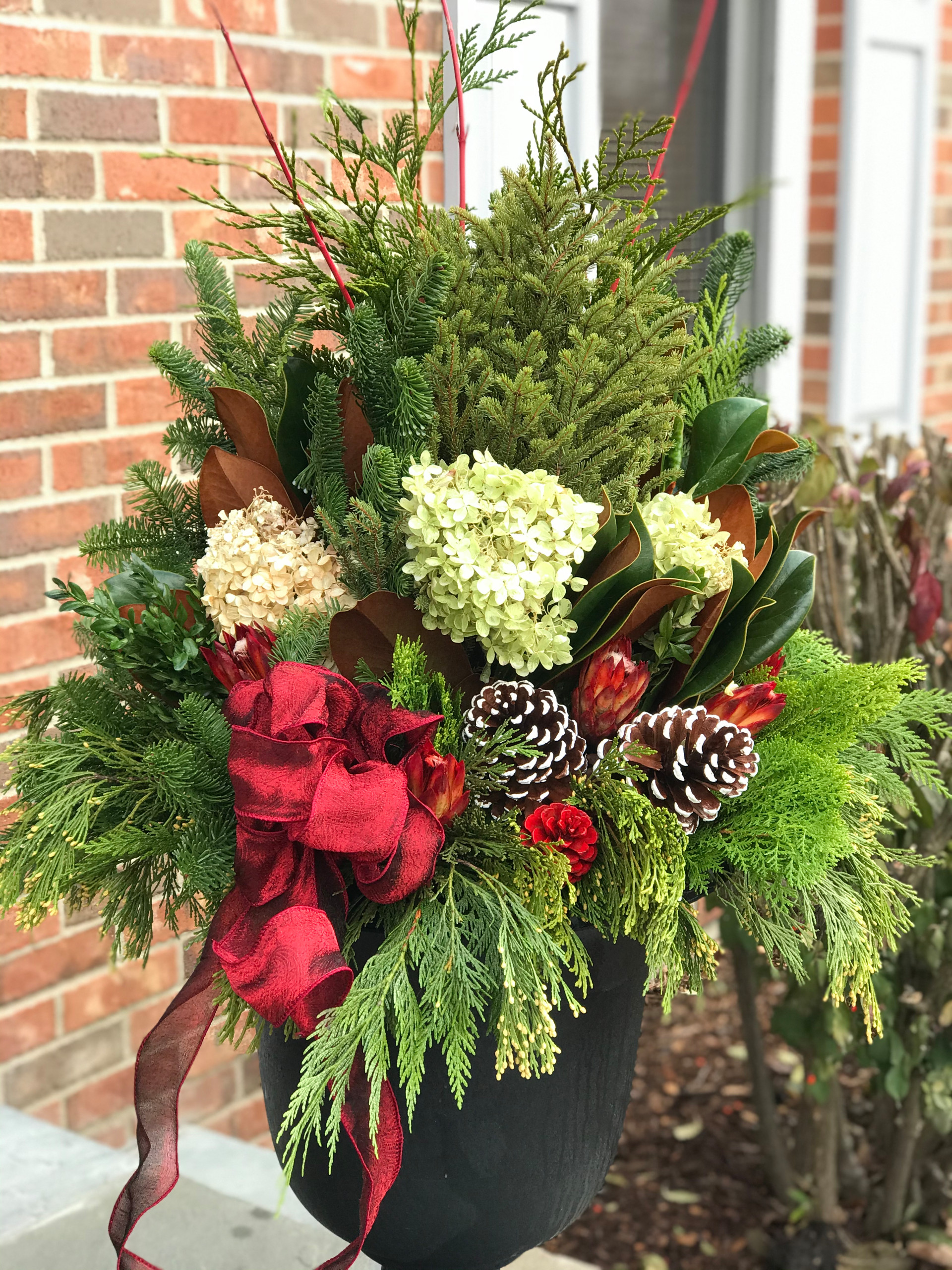 Winter containers and Holiday Decorations