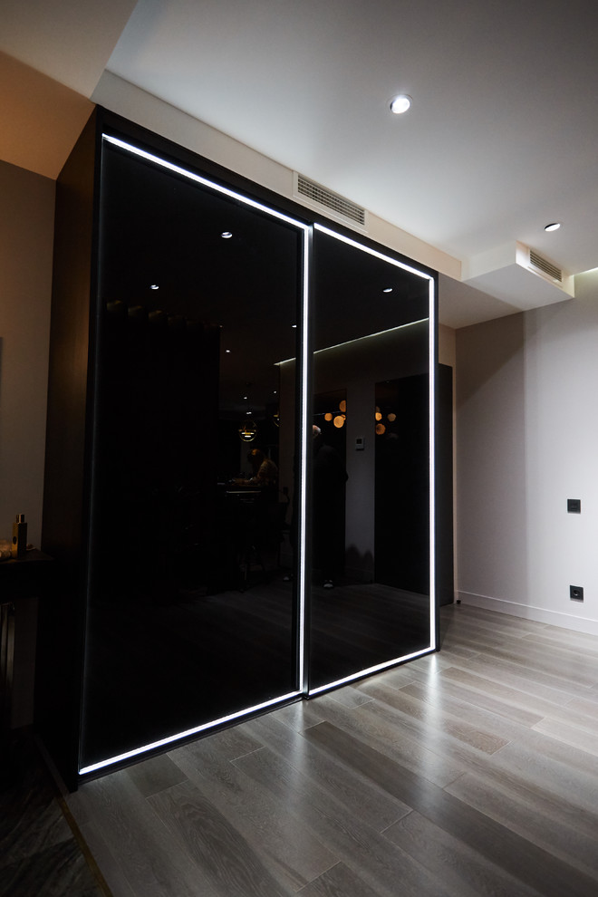 Шкаф-купе raumplus рамка R1200 темная бронза с LED подсветкой