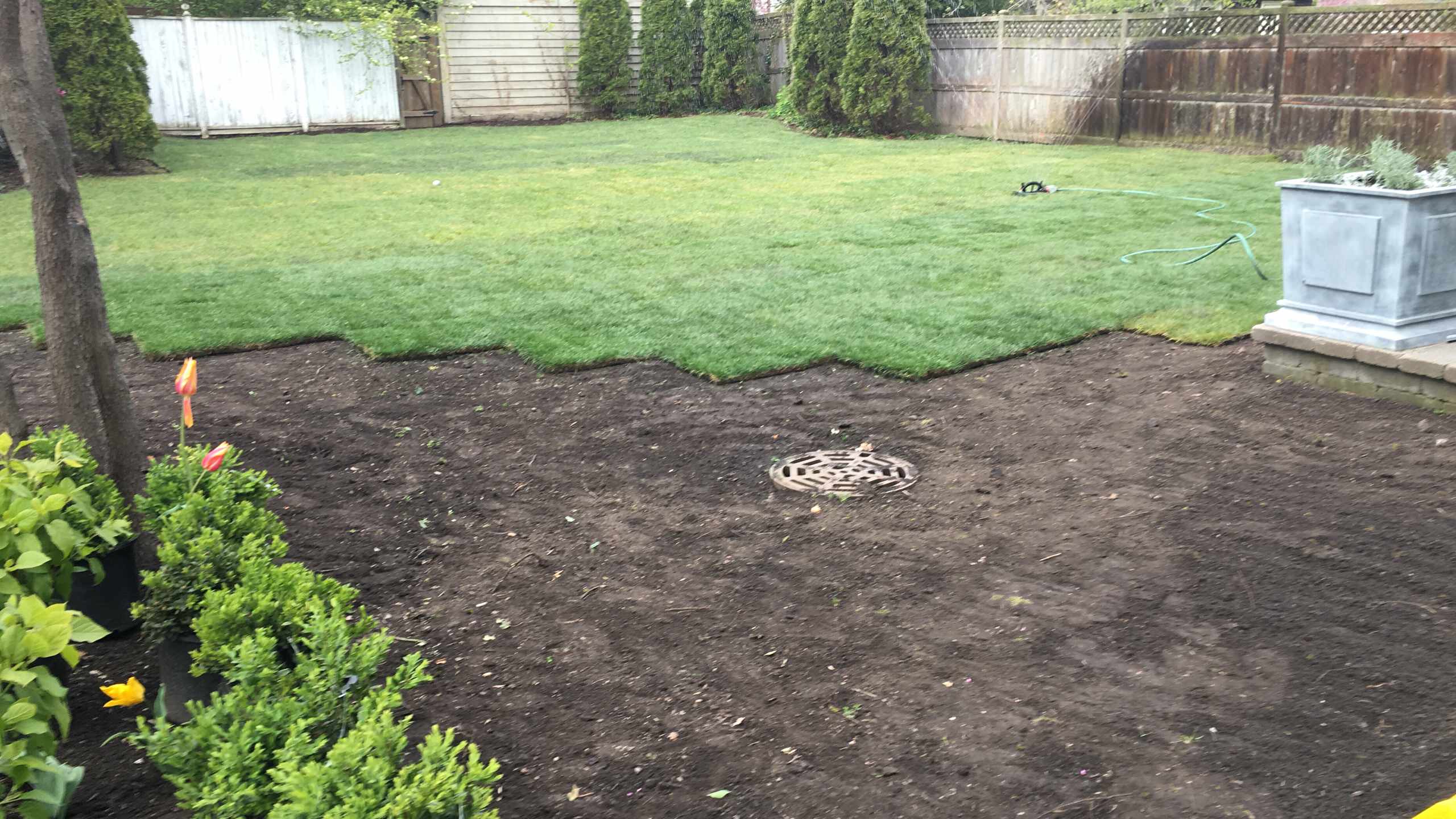 Lawn Installation